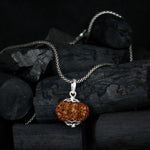 Load image into Gallery viewer, 12 Mukhi Original Rudraksha With Silver Chain