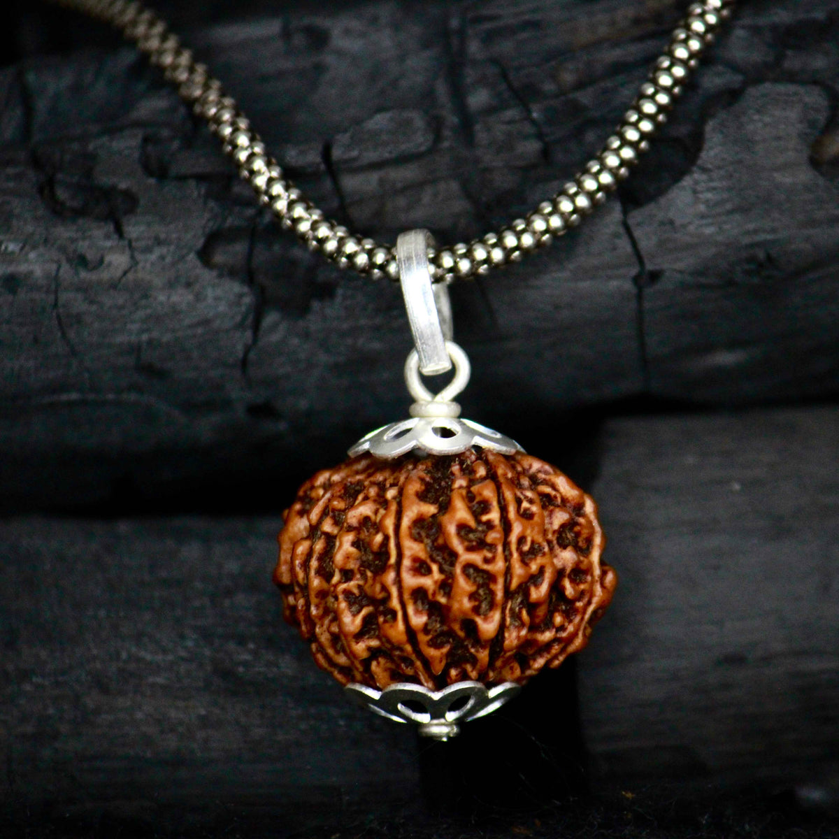 11 mukhi original rudraksha with silver chain
