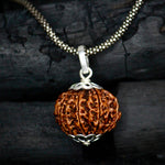 Load image into Gallery viewer, 11 Mukhi Original Rudraksha With Silver Chain
