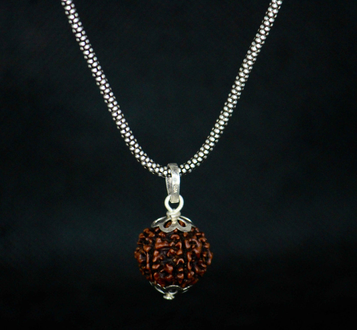 6 mukhi original rudraksha with silver chain