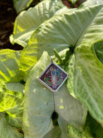 Load image into Gallery viewer, Shreenathji