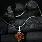 Load image into Gallery viewer, 10 Mukhi Original Rudraksha With Silver Chain