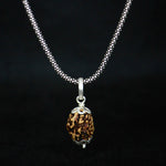 Load image into Gallery viewer, 3 Mukhi Original Rudraksha with Silver Chain