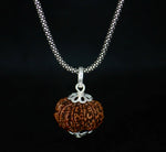 Load image into Gallery viewer, 10 Mukhi Original Rudraksha With Silver Chain