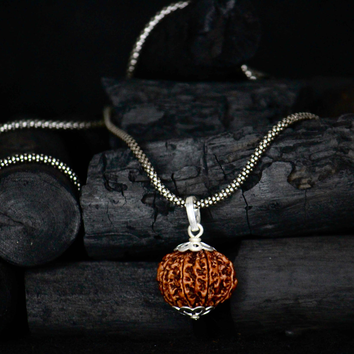 11 mukhi original rudraksha with silver chain