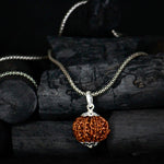 Load image into Gallery viewer, 11 Mukhi Original Rudraksha With Silver Chain