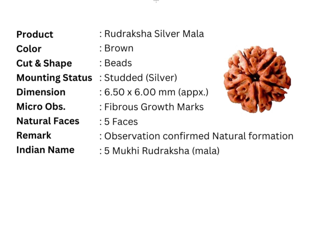 New lord shiva pendant with original Silver Rudraksha Mala