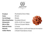 Load image into Gallery viewer, New Om Pendant with Orignal Rudraksha Mala
