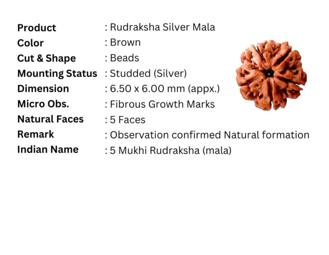 Silver Lord Shiva With Nandiji Pendant Rudraksha Mala