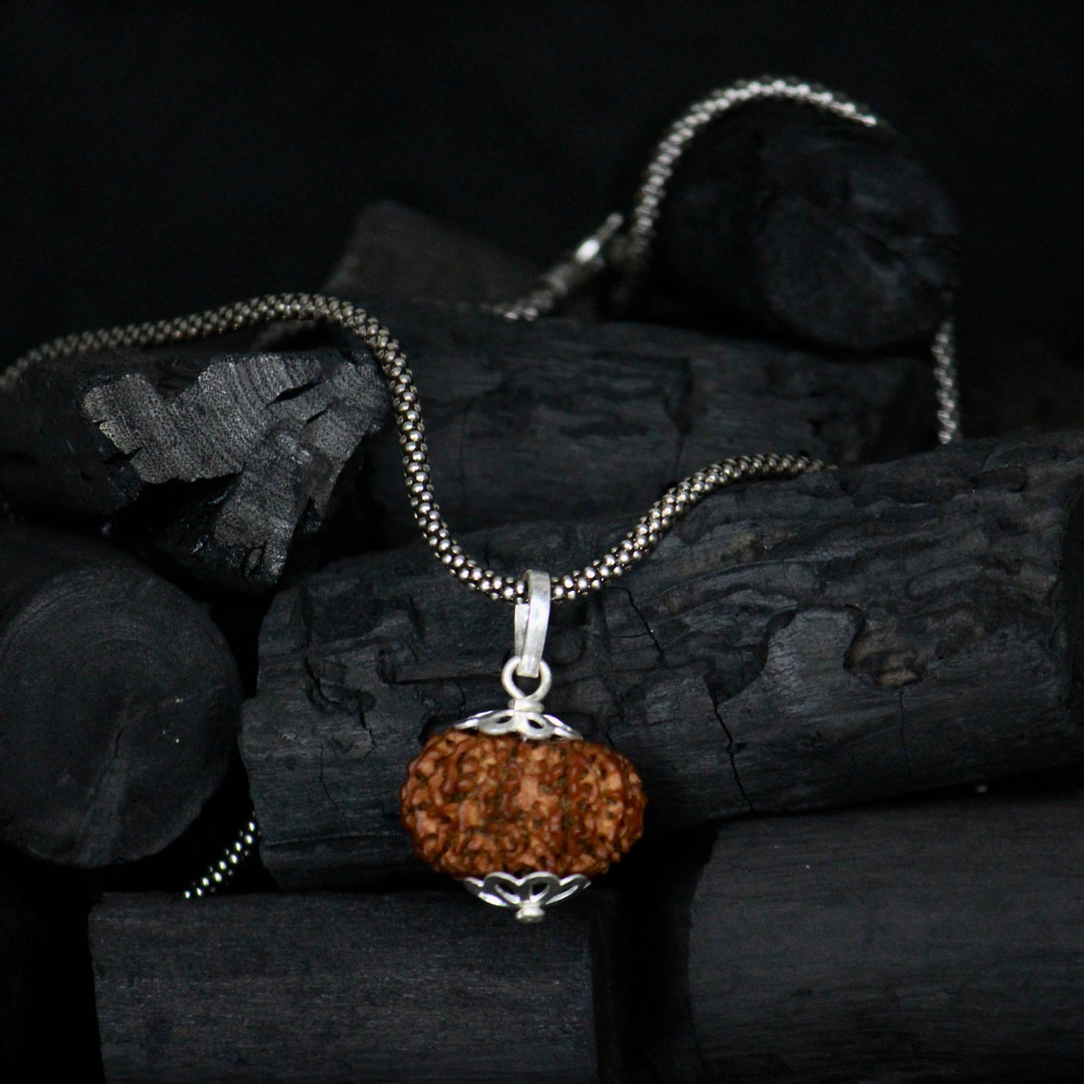 12 mukhi original rudraksha with silver chain