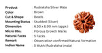Load image into Gallery viewer, Trishul Damru Rudraksha Pendant Chain 925 Silver
