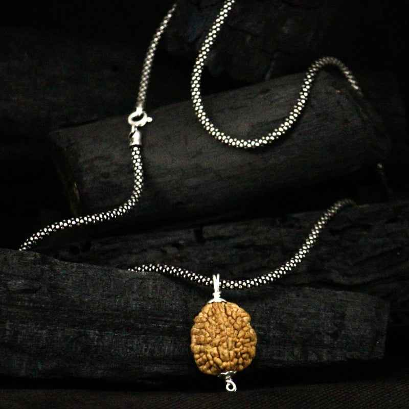 2 mukhi rudraksha pendent + oxidised chain