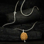 Load image into Gallery viewer, 2 Mukhi Rudraksha Pendent + Oxidised Chain
