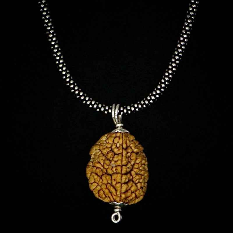 2 Mukhi Rudraksha Pendent + Oxidised Chain