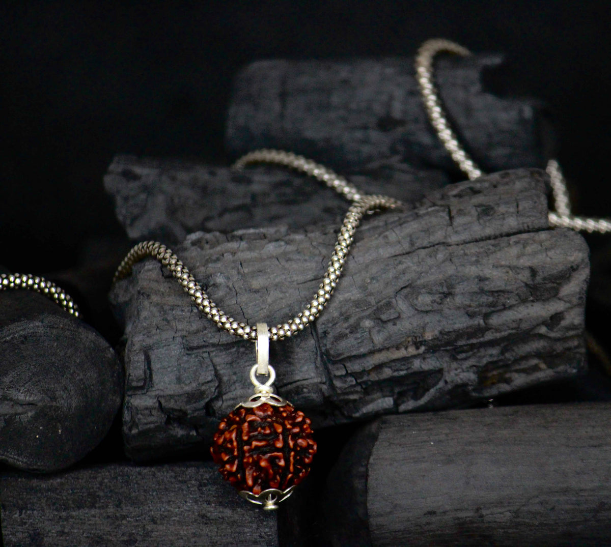 6 mukhi original rudraksha with silver chain
