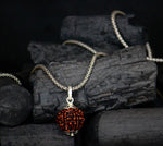Load image into Gallery viewer, 6 Mukhi Original Rudraksha with Silver Chain
