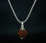 Load image into Gallery viewer, 6 Mukhi Original Rudraksha with Silver Chain
