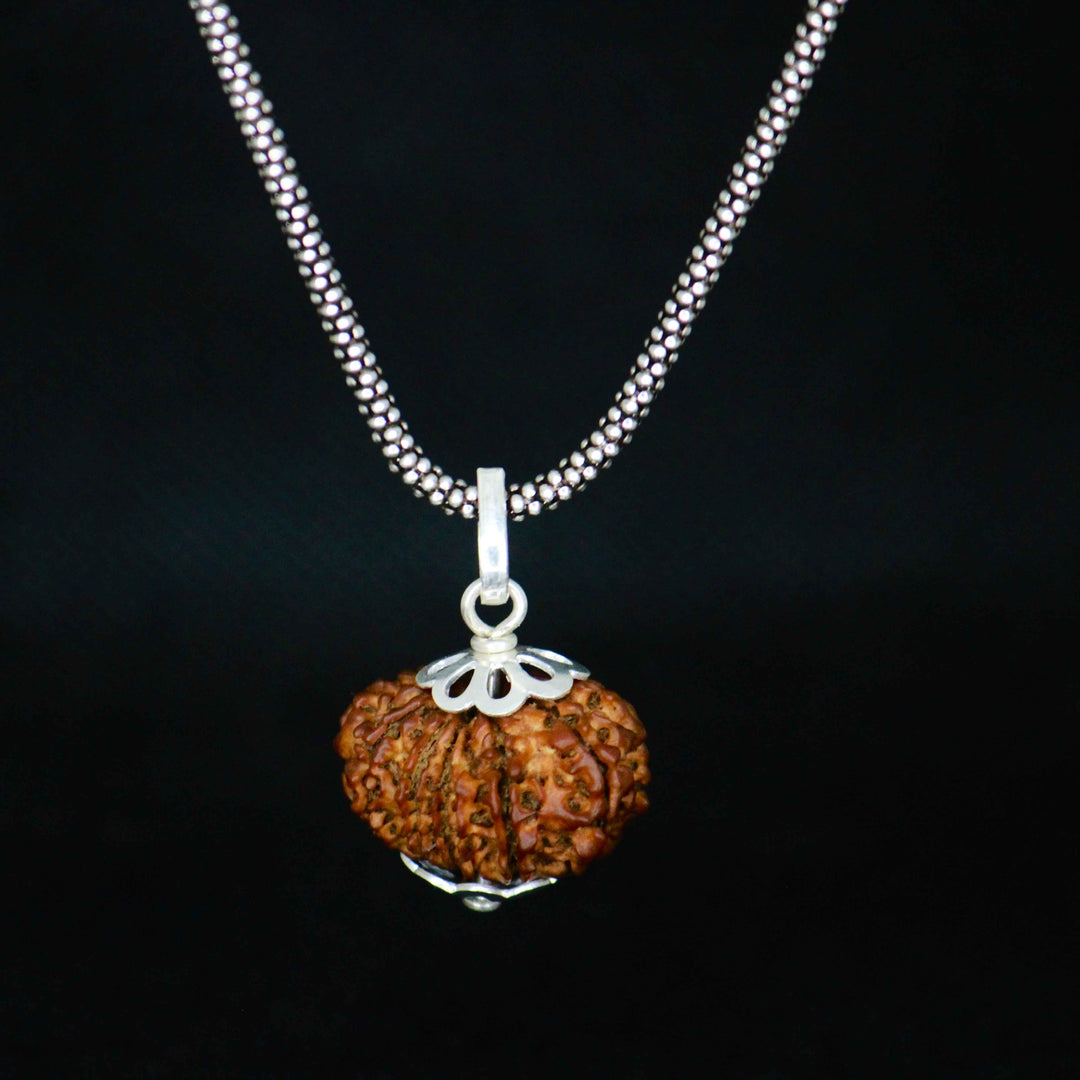 12 Mukhi Original Rudraksha With Silver Chain