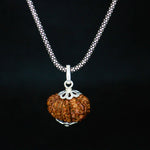 Load image into Gallery viewer, 12 Mukhi Original Rudraksha With Silver Chain
