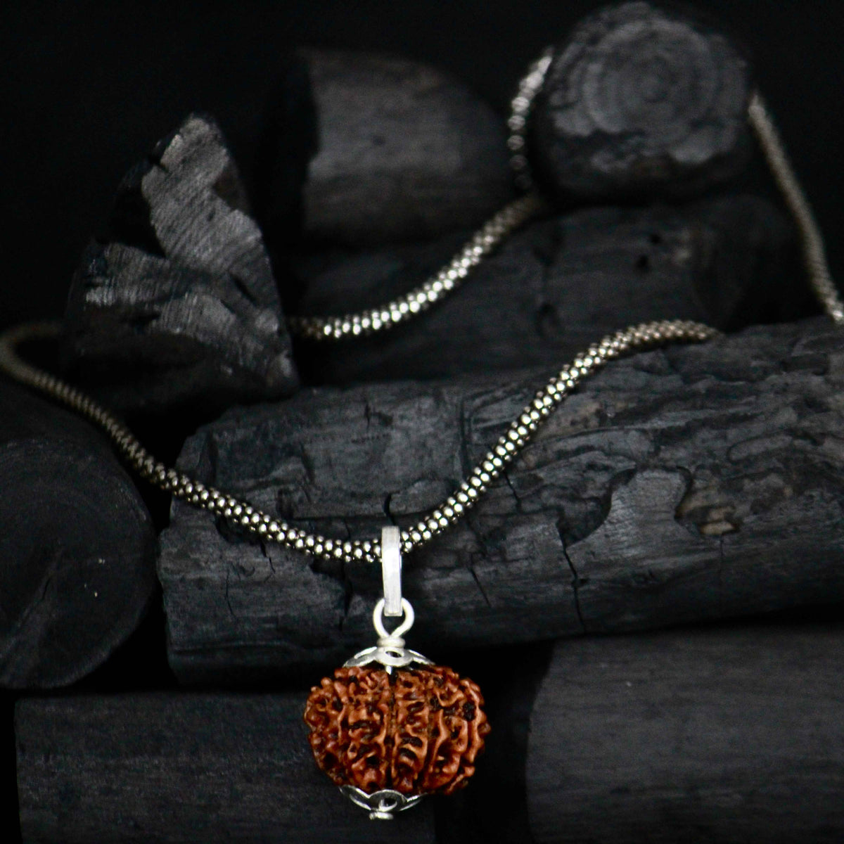 10 mukhi original rudraksha with silver chain