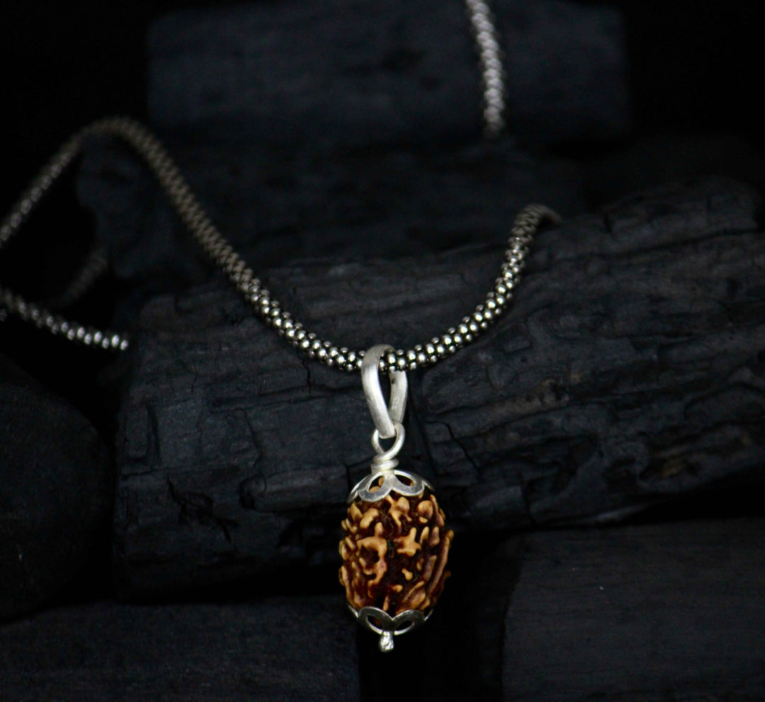3 Mukhi Original Rudraksha with Silver Chain