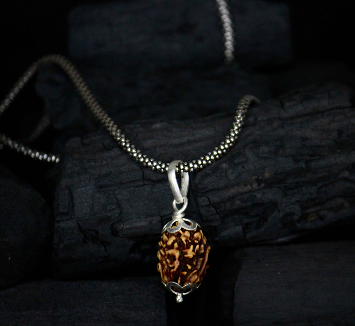 3 mukhi original rudraksha with silver chain