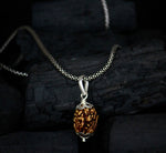 Load image into Gallery viewer, 3 Mukhi Original Rudraksha with Silver Chain
