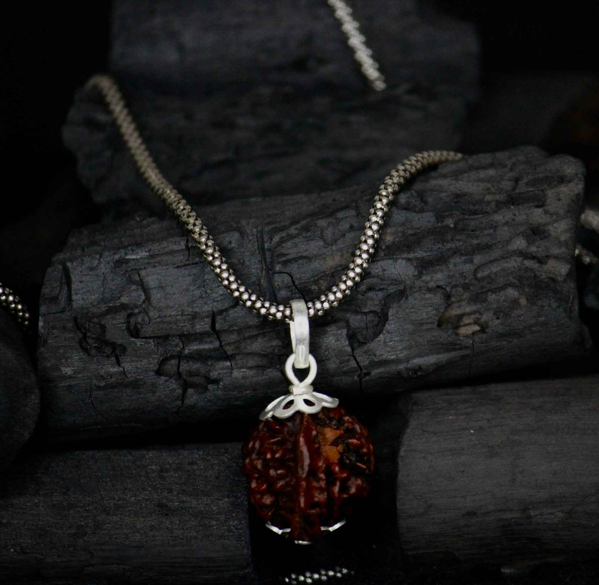 Ganesh mukhi rudraksha with oxidised silver chain