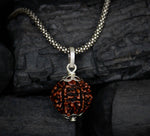 Load image into Gallery viewer, 6 Mukhi Original Rudraksha with Silver Chain
