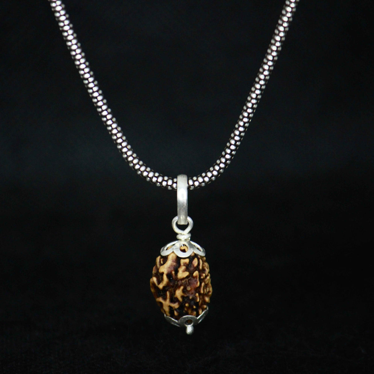3 mukhi original rudraksha with silver chain
