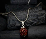Load image into Gallery viewer, 4 Mukhi Original Rudraksha Pendant with Silver Chain
