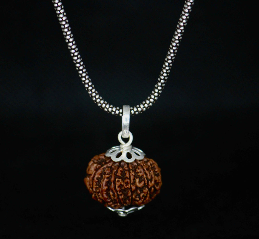 10 Mukhi Original Rudraksha With Silver Chain