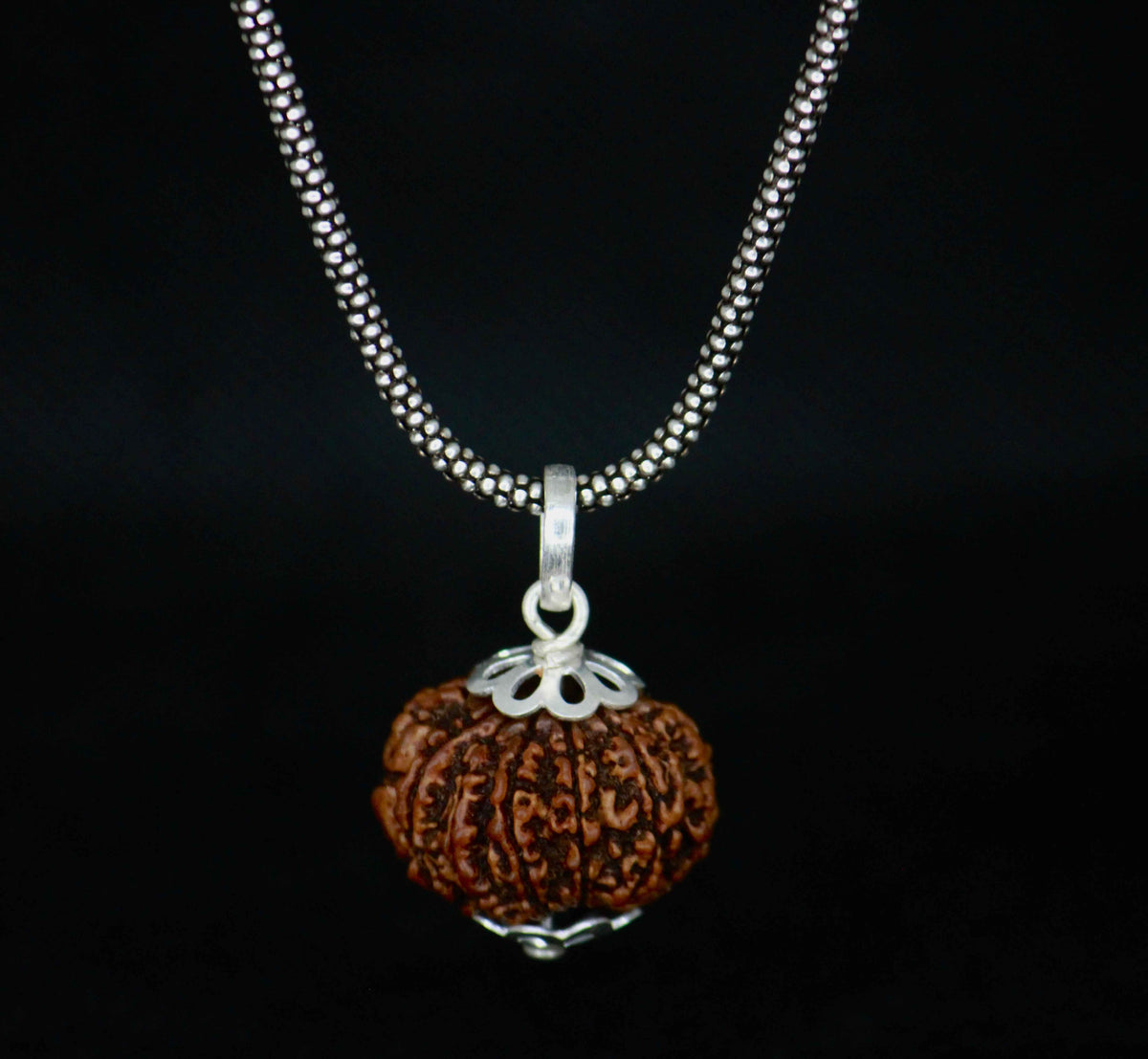 10 mukhi original rudraksha with silver chain