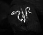 Load image into Gallery viewer, Orignal Silver Snake Ring
