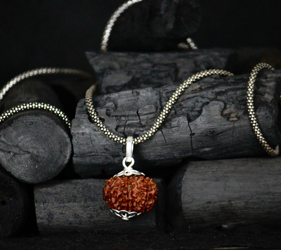 9 Mukhi Original Rudraksha with silver Chain