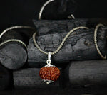 Load image into Gallery viewer, 9 Mukhi Original Rudraksha with silver Chain
