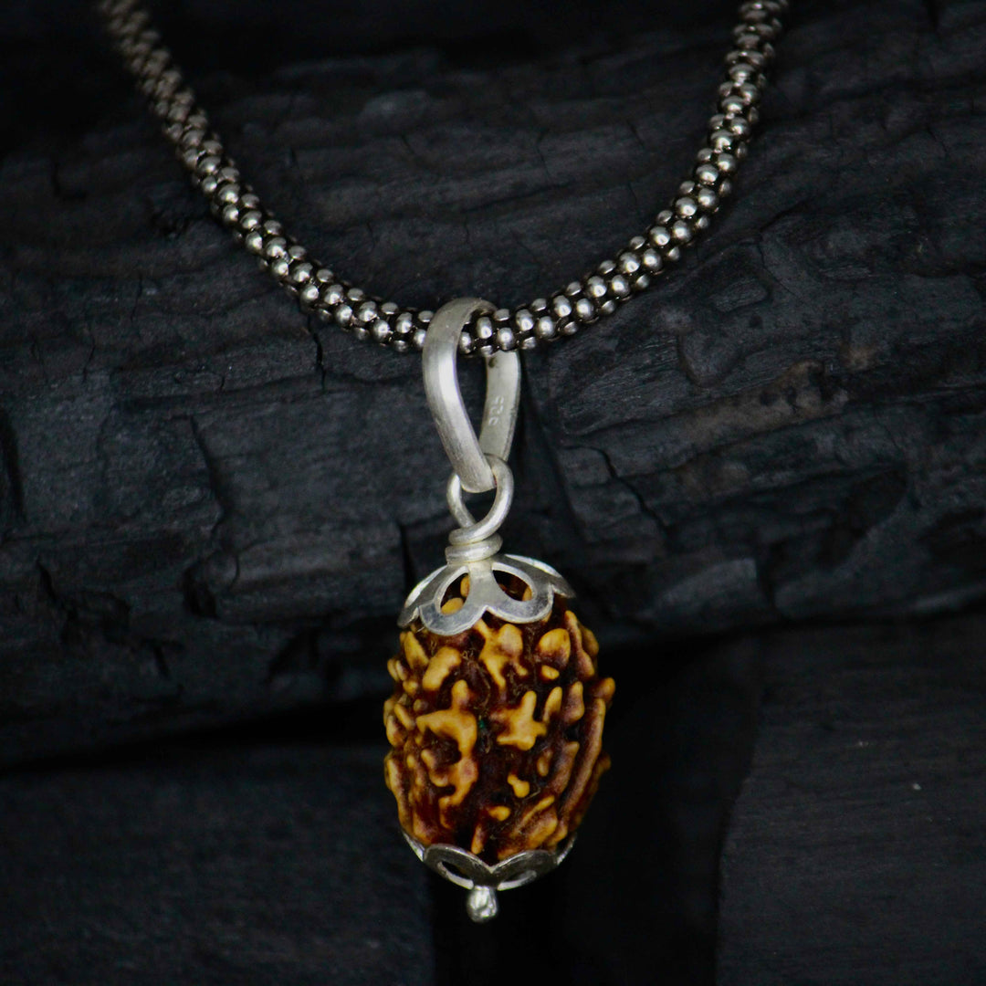 3 Mukhi Original Rudraksha with Silver Chain